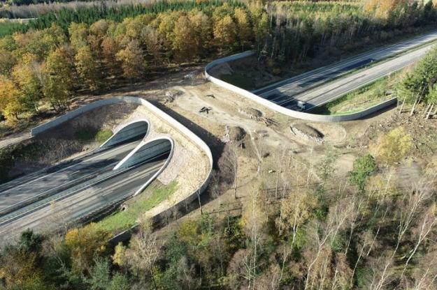 Ekodukten över E6 på Hallandsåsen mellan Båstad och &Auml;ngelholm.