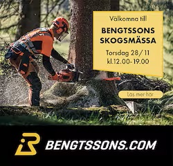 Bengtssons